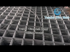 Customizable Welded Wire Mesh Fence with 50*150mm Mesh Hole