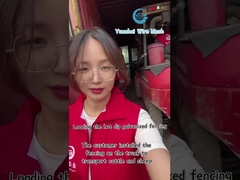 Decorative Wire Mesh Triangle Fence Panel High Security Customized Color