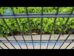PVC Coated Double Loop Wire Fencing for Garden and Highway