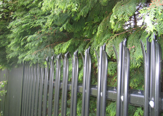 70mm W Pale 3.0mm Hot Dip Galvanized Steel Palisade Fencing for Residential Security