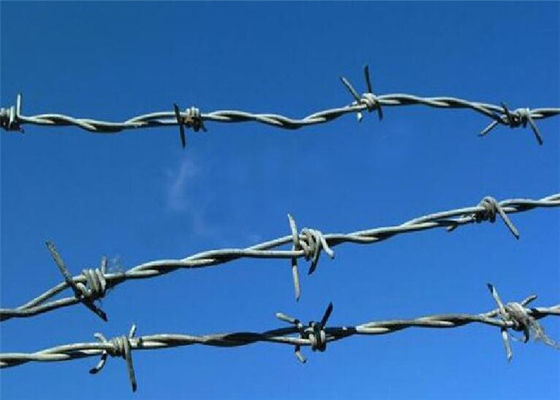 1.6mm HDG Reverse Twist Steel Barbed Wire Border Safety Protection