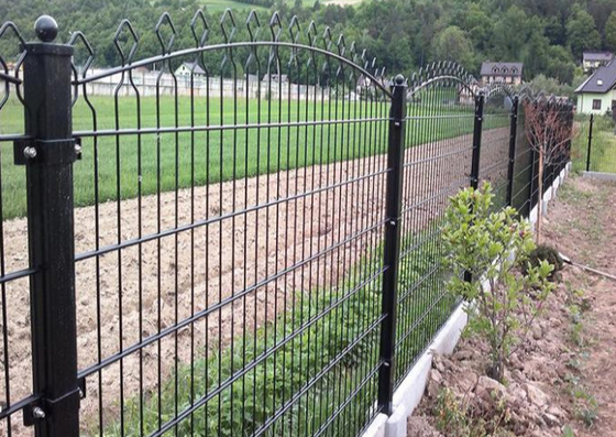 Iso 2d 868 Fencing Twin Bar Steel Welded Wire Mesh Residential