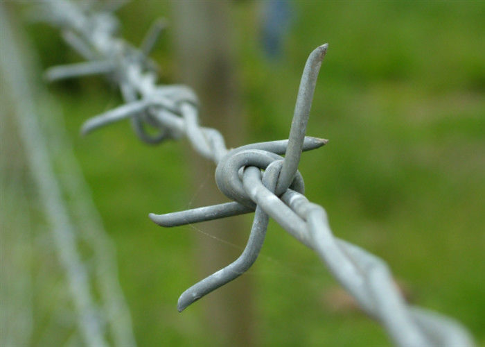 Galvanized Safety Farm Single Twist Barbed Wire 14 Gauge Protective