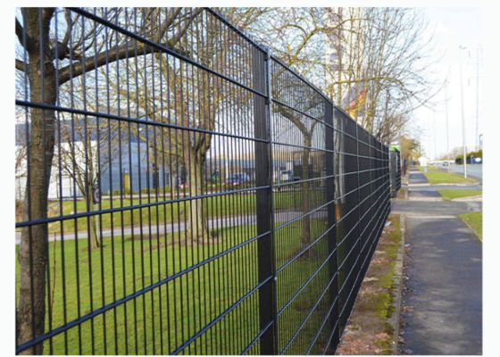 Powder Coated Twin Wire Fence PVC Mesh Fence Galvanized 8/6/8