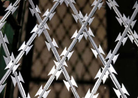 Stainless Steel Razor Barbed Wire BTO-22 50kg Roll for Farm Fencing