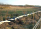 Low Carbon 12 Gauge Galvanised Steel Barbed Wire For Preventing Theft